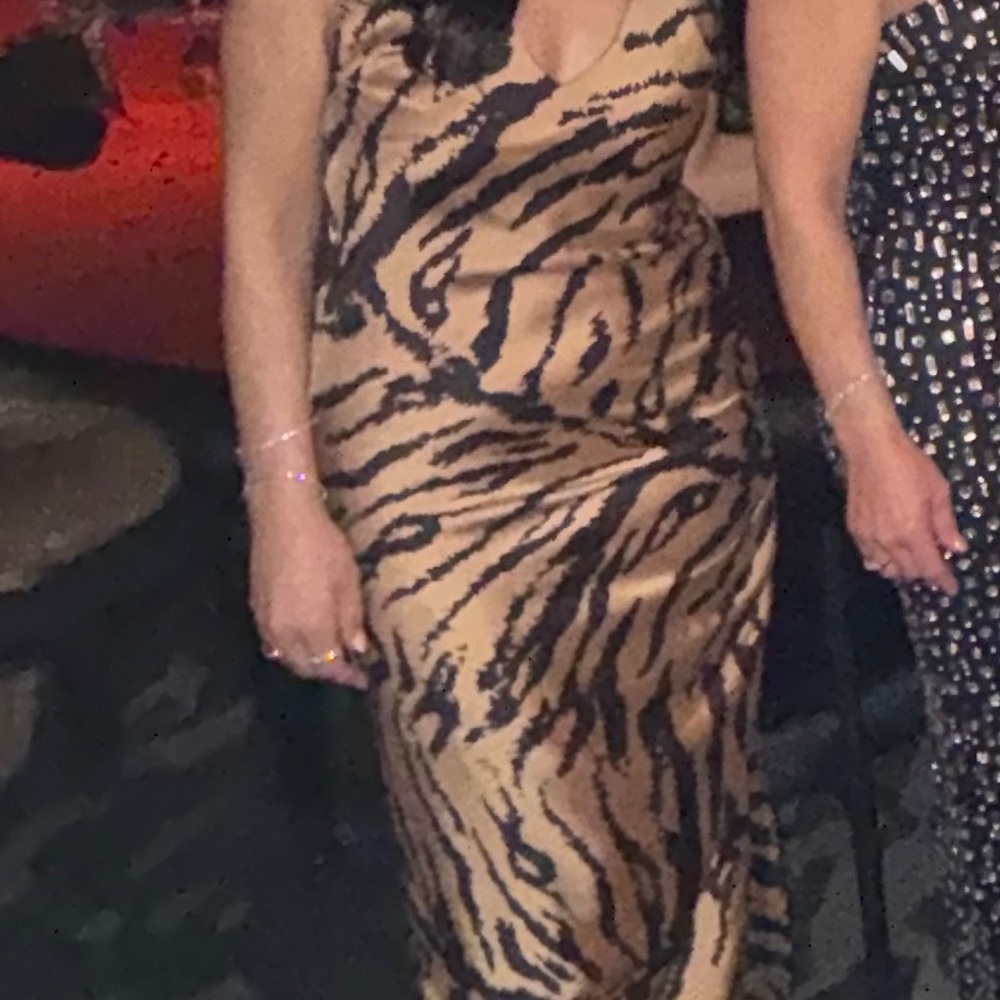 Zara Tan and Black Animal Print Dress